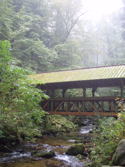 Covered Bridge photo
