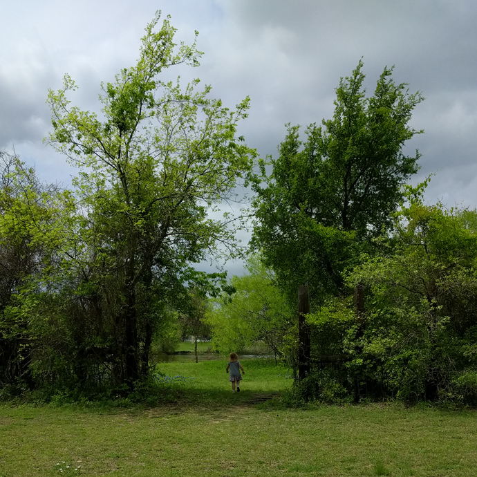 Meadow Gate photo