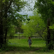 Meadow Gate photo